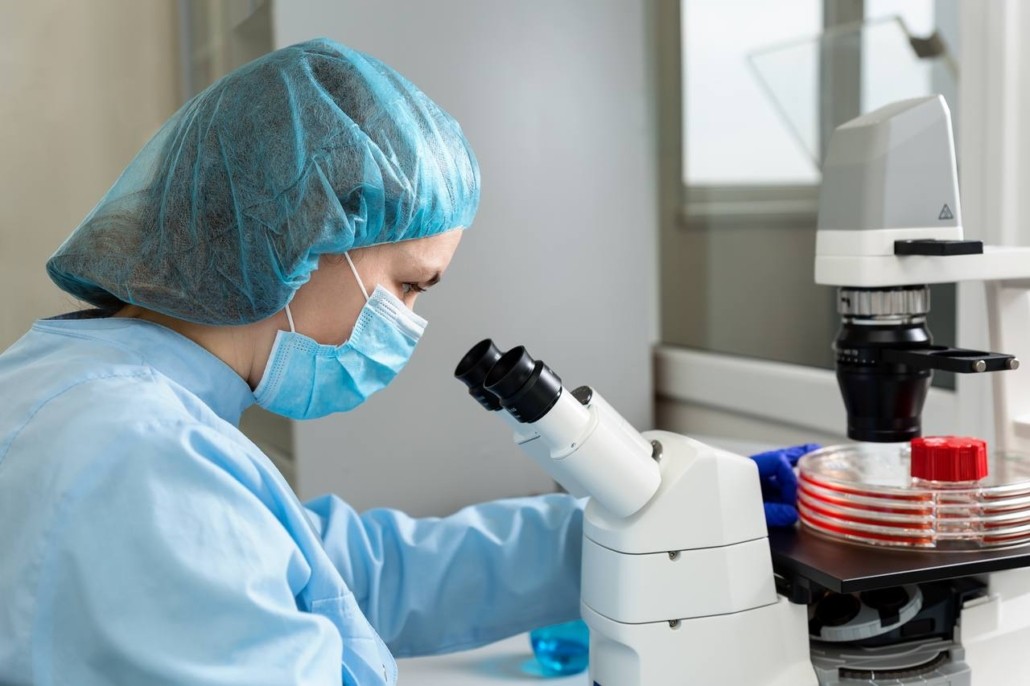 Observation microscopique des cellules souches
