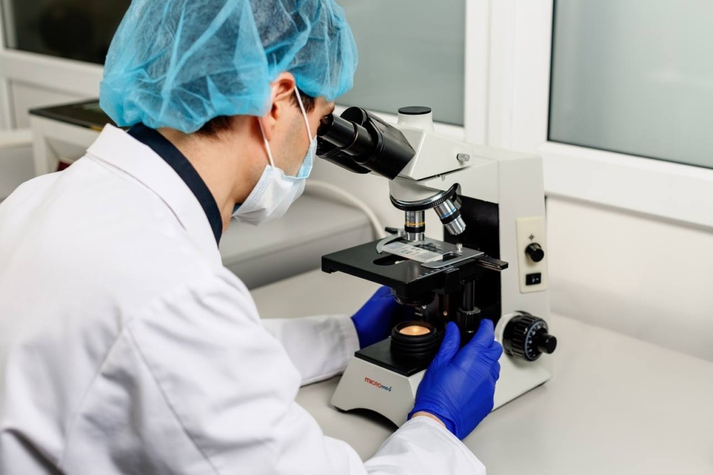 Évaluation de la morphologie cellulaire