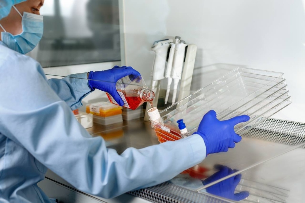 Préparation de culture de cellules souches mésenchymateuses