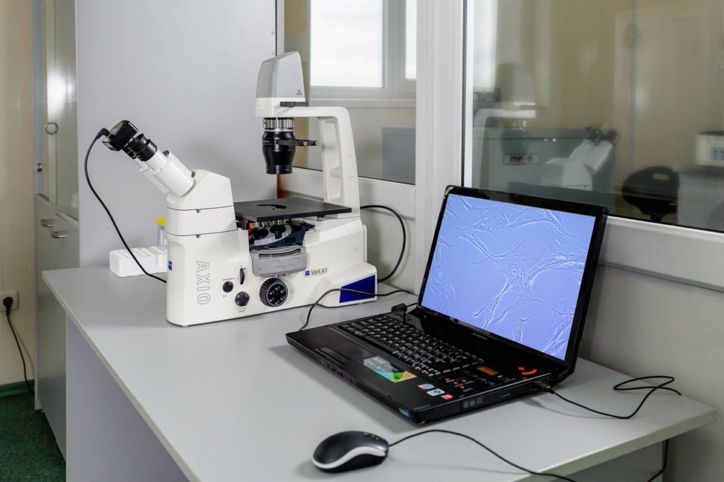 Microscopie numérique et imagerie cellulaire
