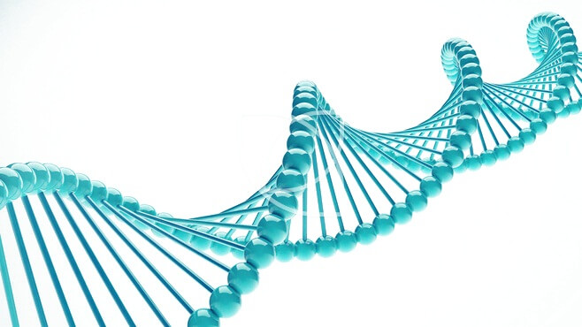 Stem Cells therapy in Ukraine