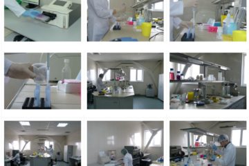 stem cells ukraine
